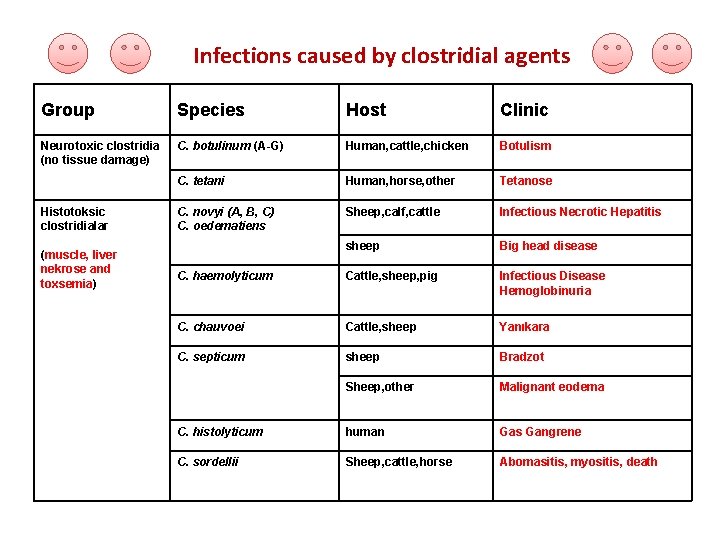 Infections caused by clostridial agents Group Species Host Clinic Neurotoxic clostridia (no tissue damage)