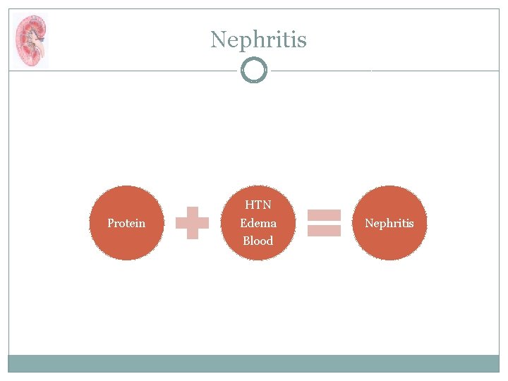 Nephritis Protein HTN Edema Blood Nephritis 