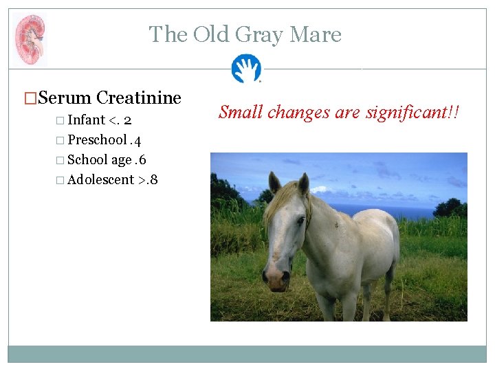 The Old Gray Mare �Serum Creatinine � Infant <. 2 � Preschool. 4 �