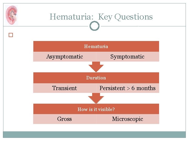 Hematuria: Key Questions � Hematuria Asymptomatic Symptomatic Duration Transient Persistent > 6 months How