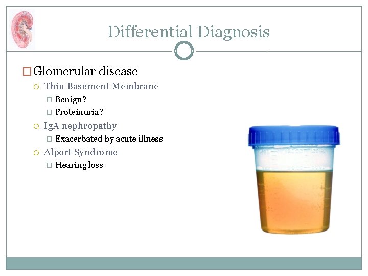 Differential Diagnosis � Glomerular disease Thin Basement Membrane Benign? � Proteinuria? � Ig. A