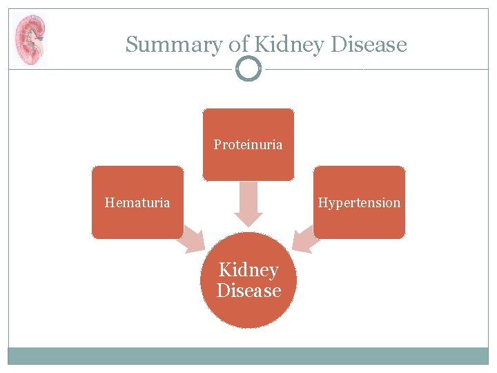 Summary of Kidney Disease Proteinuria Hematuria Hypertension Kidney Disease 