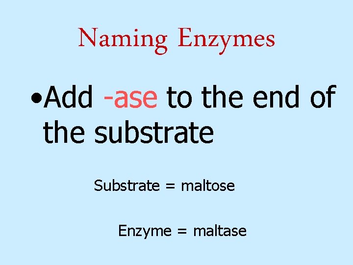 Naming Enzymes • Add -ase to the end of the substrate Substrate = maltose