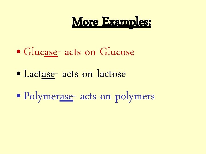 More Examples: • Glucase- acts on Glucose • Lactase- acts on lactose • Polymerase-