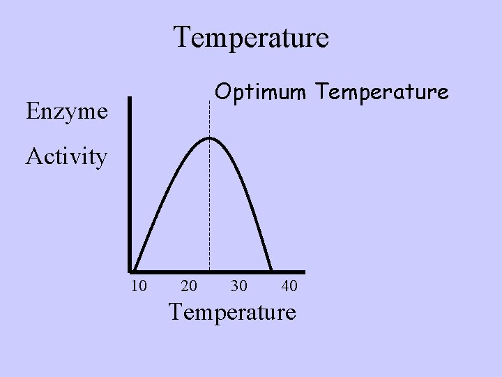 Temperature Optimum Temperature Enzyme Activity 10 20 30 40 Temperature 