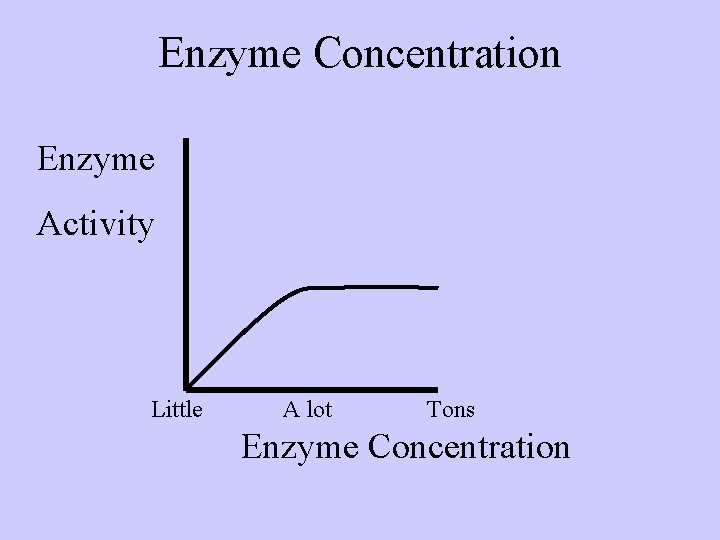 Enzyme Concentration Enzyme Activity Little A lot Tons Enzyme Concentration 