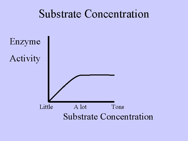 Substrate Concentration Enzyme Activity Little A lot Tons Substrate Concentration 