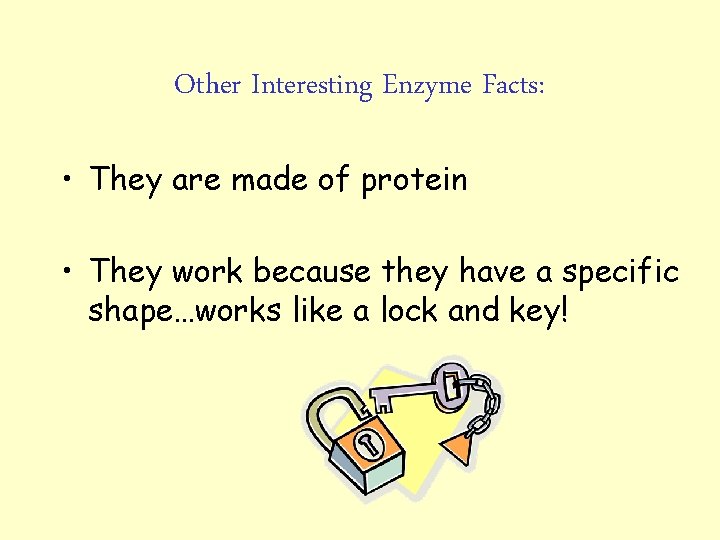 Other Interesting Enzyme Facts: • They are made of protein • They work because