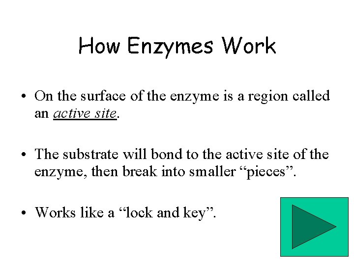 How Enzymes Work • On the surface of the enzyme is a region called
