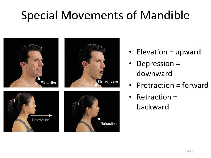 Special Movements of Mandible • Elevation = upward • Depression = downward • Protraction
