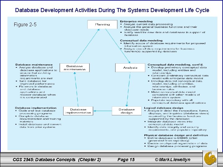 Database Development Activities During The Systems Development Life Cycle Figure 2 -5 CGS 2545: