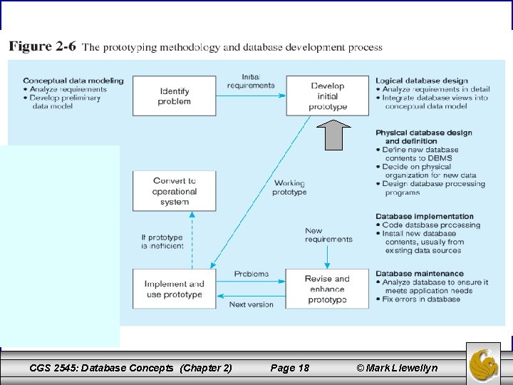 CGS 2545: Database Concepts (Chapter 2) Page 18 © Mark Llewellyn 