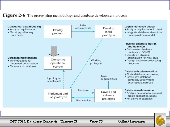 CGS 2545: Database Concepts (Chapter 2) Page 20 © Mark Llewellyn 