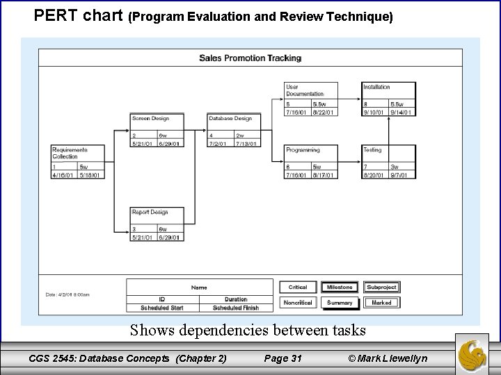 PERT chart (Program Evaluation and Review Technique) Shows dependencies between tasks CGS 2545: Database