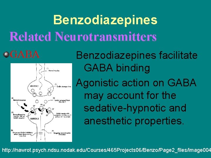 Benzodiazepines Related Neurotransmitters GABA Benzodiazepines facilitate GABA binding Agonistic action on GABA may account