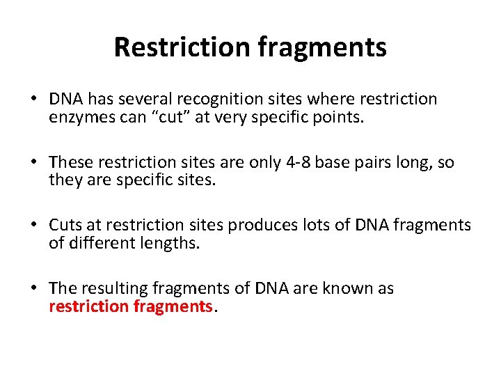 Restriction fragments • DNA has several recognition sites where restriction enzymes can “cut” at