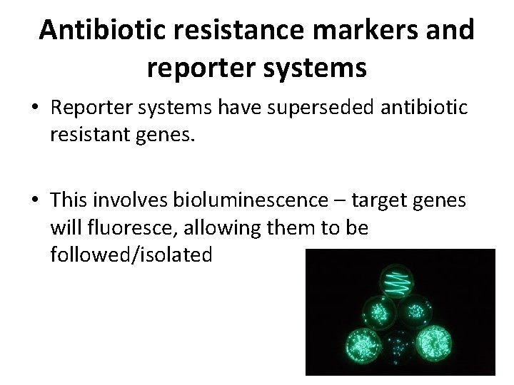 Antibiotic resistance markers and reporter systems • Reporter systems have superseded antibiotic resistant genes.