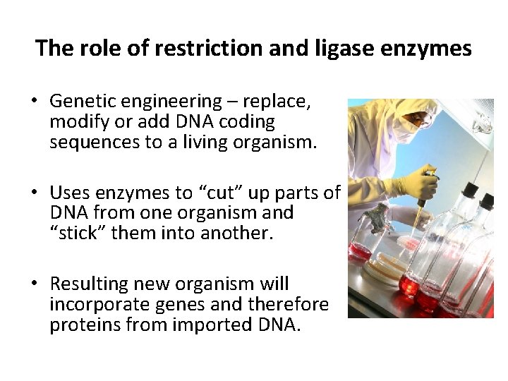 The role of restriction and ligase enzymes • Genetic engineering – replace, modify or
