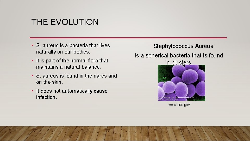 THE EVOLUTION • S. aureus is a bacteria that lives naturally on our bodies.