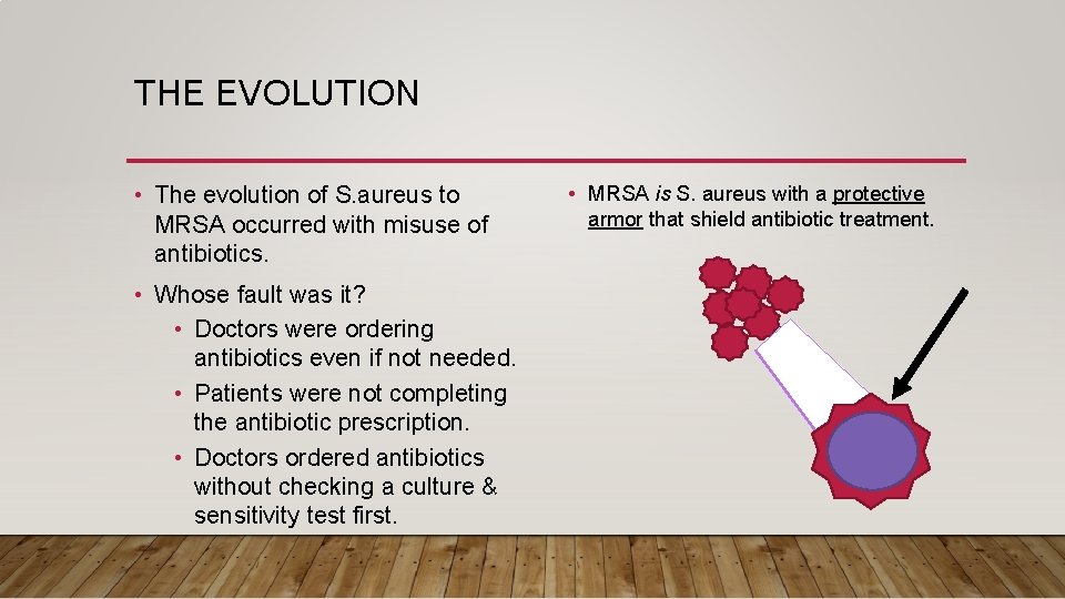 THE EVOLUTION • The evolution of S. aureus to MRSA occurred with misuse of