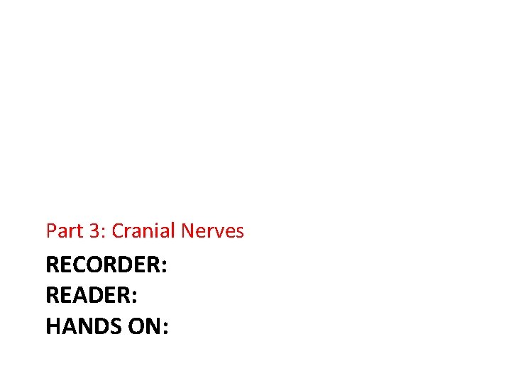 Part 3: Cranial Nerves RECORDER: READER: HANDS ON: 