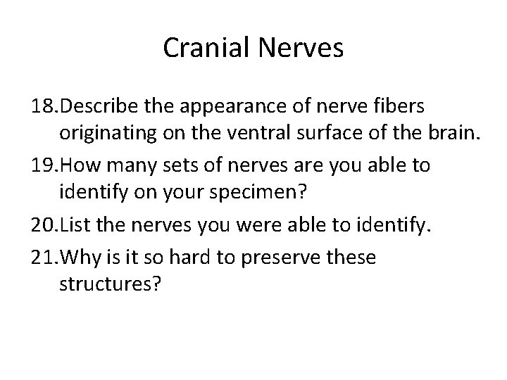 Cranial Nerves 18. Describe the appearance of nerve fibers originating on the ventral surface