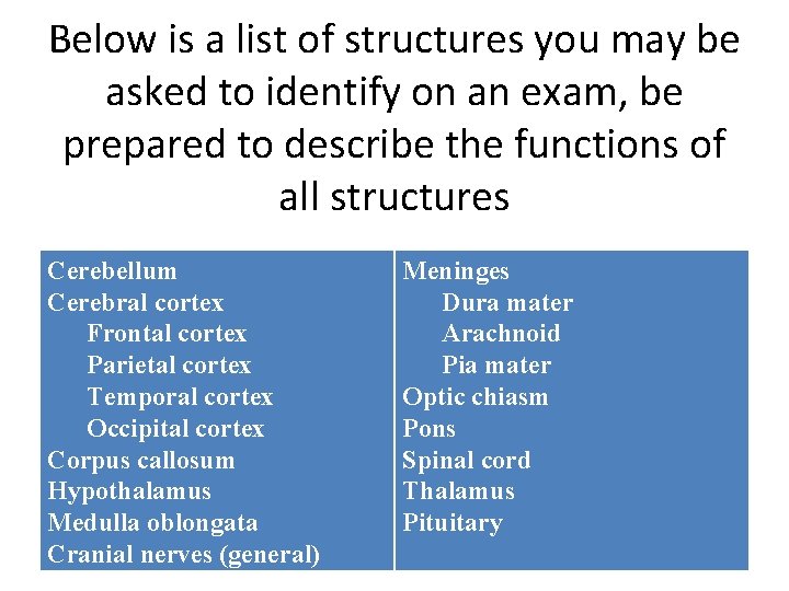 Below is a list of structures you may be asked to identify on an