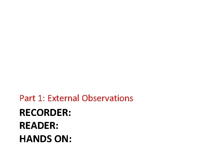 Part 1: External Observations RECORDER: READER: HANDS ON: 