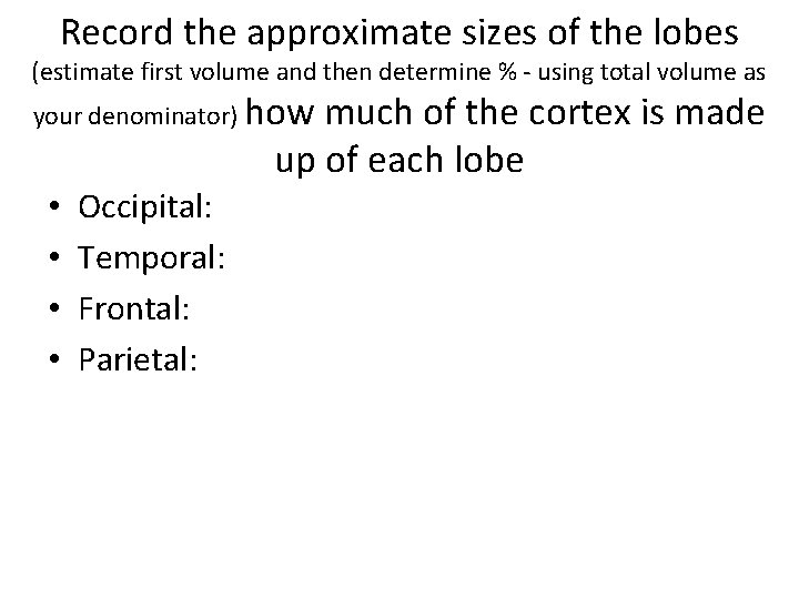 Record the approximate sizes of the lobes (estimate first volume and then determine %