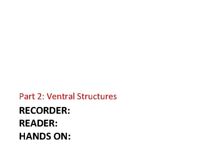 Part 2: Ventral Structures RECORDER: READER: HANDS ON: 