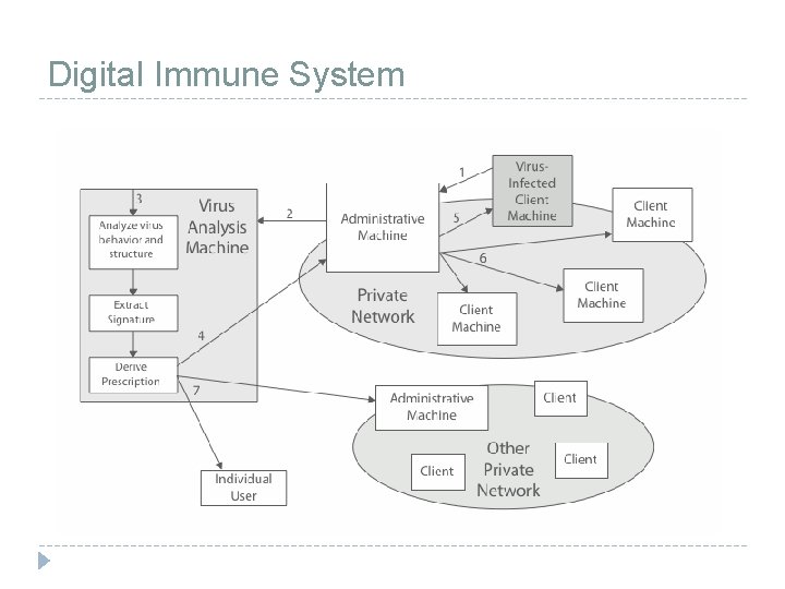 Digital Immune System 