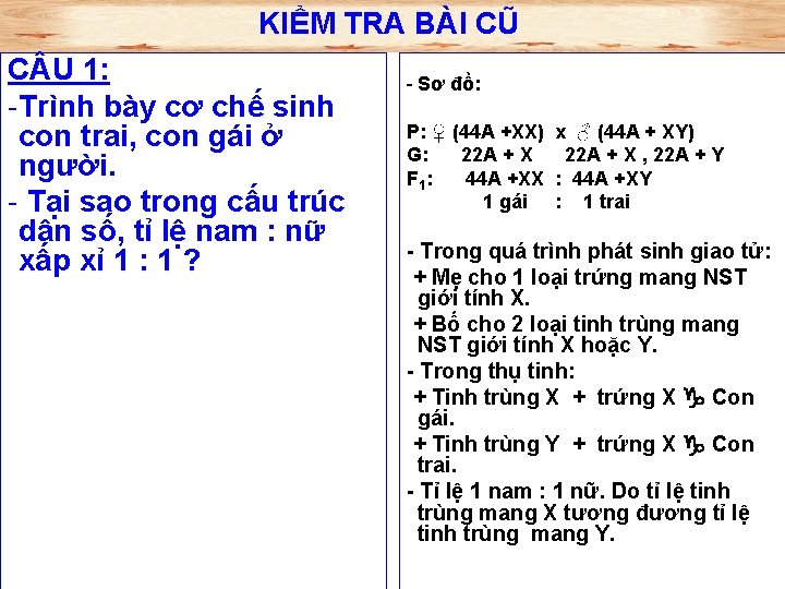 KIỂM TRA BÀI CŨ C U 1: -Trình bày cơ chế sinh con trai,