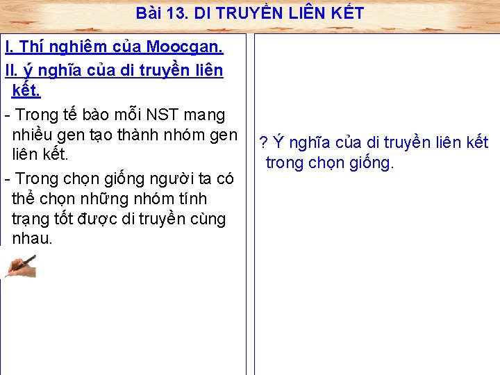 Bài 13. DI TRUYỀN LIÊN KẾT I. Thí nghiệm của Moocgan. II. ý nghĩa