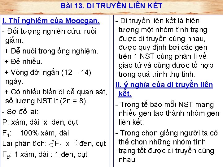 Bài 13. DI TRUYỀN LIÊN KẾT I. Thí nghiệm của Moocgan. - Đối tượng