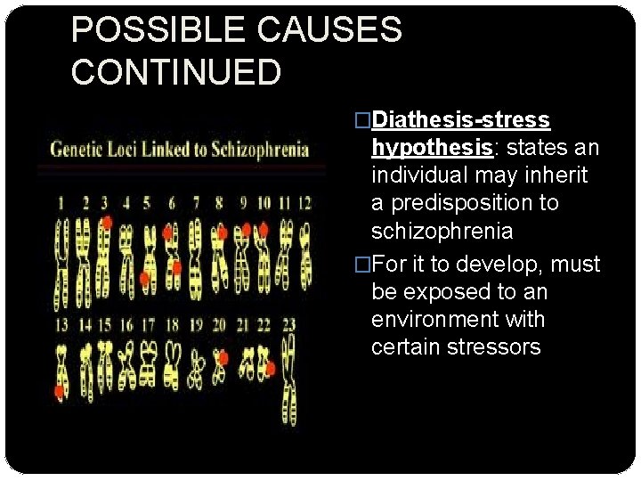 POSSIBLE CAUSES CONTINUED �Diathesis-stress hypothesis: states an individual may inherit a predisposition to schizophrenia
