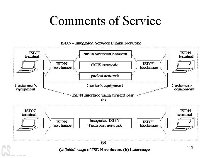 Comments of Service 113 