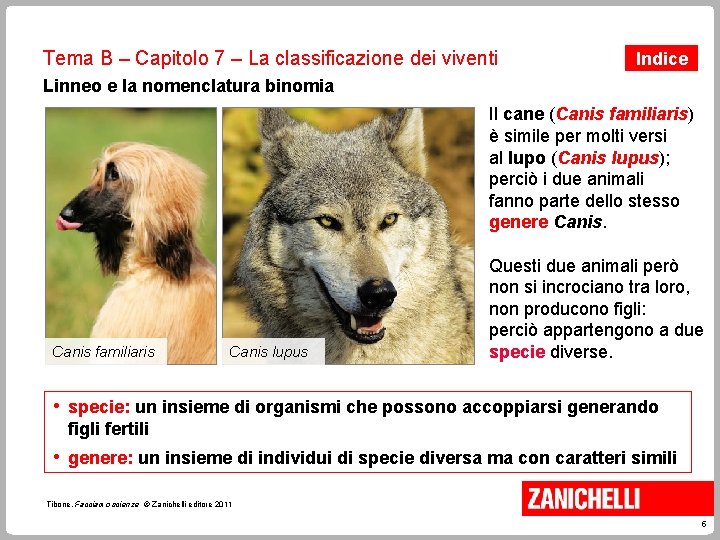 Tema B – Capitolo 7 – La classificazione dei viventi Indice Linneo e la