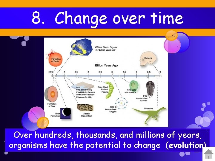 8. Change over time Over hundreds, thousands, and millions of years, organisms have the