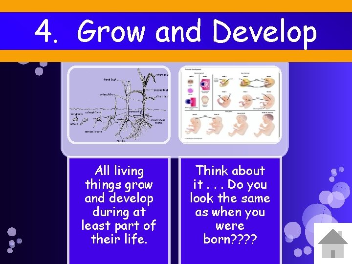 4. Grow and Develop All living things grow and develop during at least part