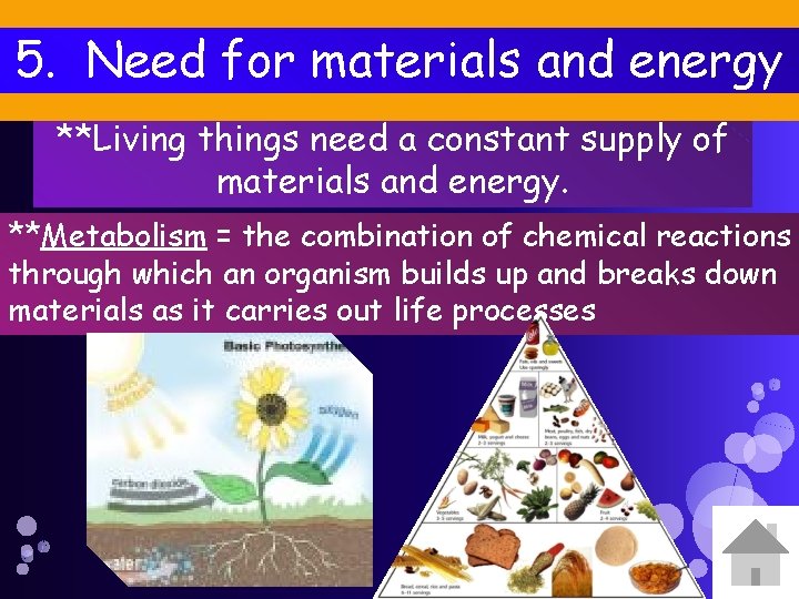 5. Need for materials and energy **Living things need a constant supply of materials