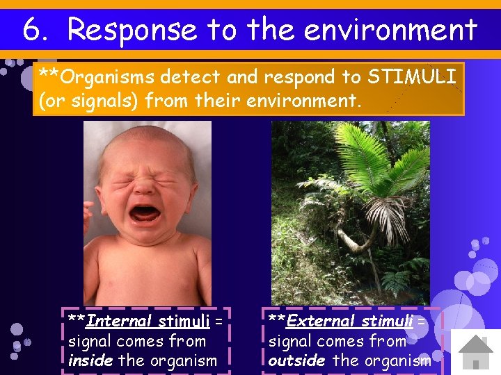 6. Response to the environment **Organisms detect and respond to STIMULI (or signals) from