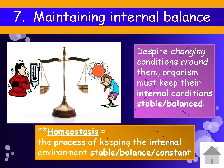 7. Maintaining internal balance Despite changing conditions around them, organism must keep their internal