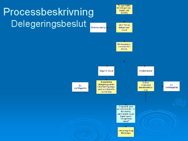 Processbeskrivning Delegeringsbeslut 