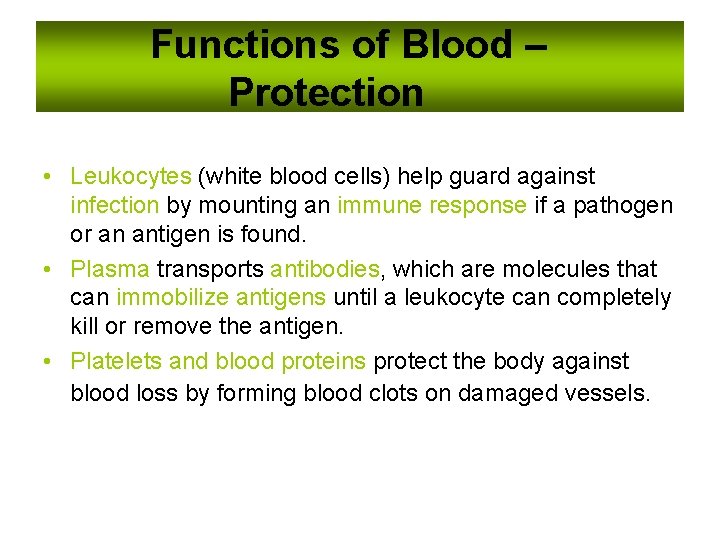 Functions of Blood – Protection • Leukocytes (white blood cells) help guard against infection