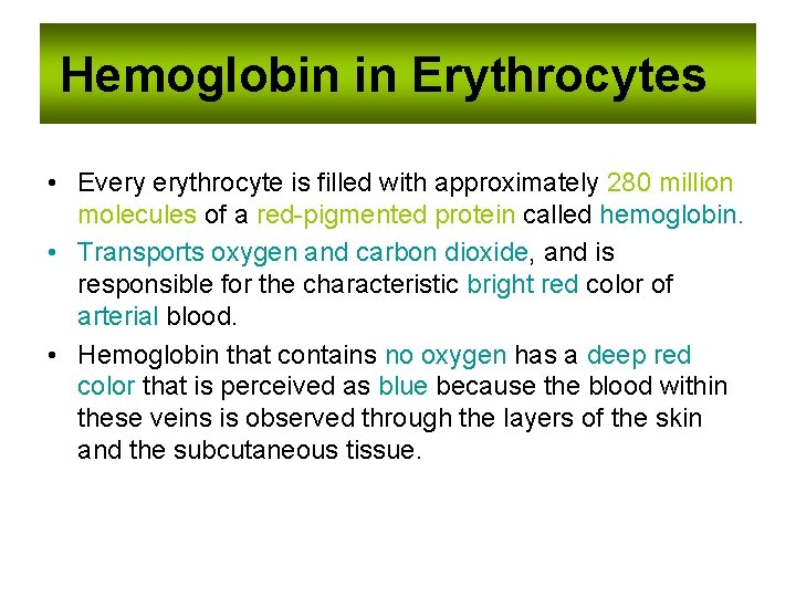 Hemoglobin in Erythrocytes • Every erythrocyte is filled with approximately 280 million molecules of