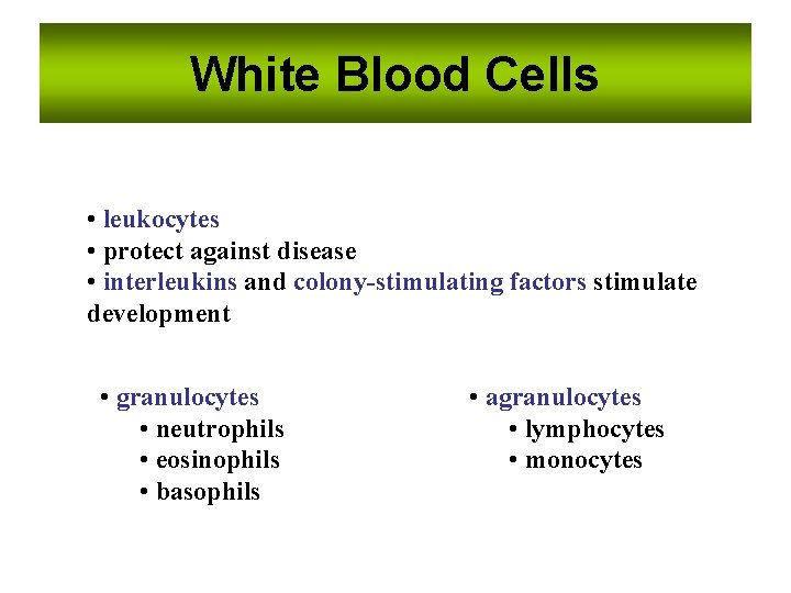 White Blood Cells • leukocytes • protect against disease • interleukins and colony-stimulating factors