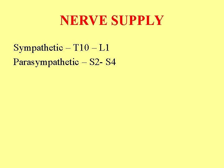 NERVE SUPPLY Sympathetic – T 10 – L 1 Parasympathetic – S 2 -
