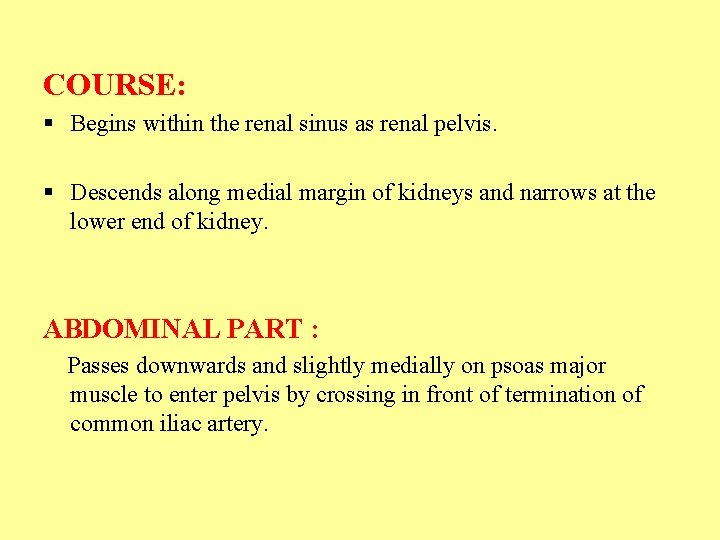 COURSE: § Begins within the renal sinus as renal pelvis. § Descends along medial