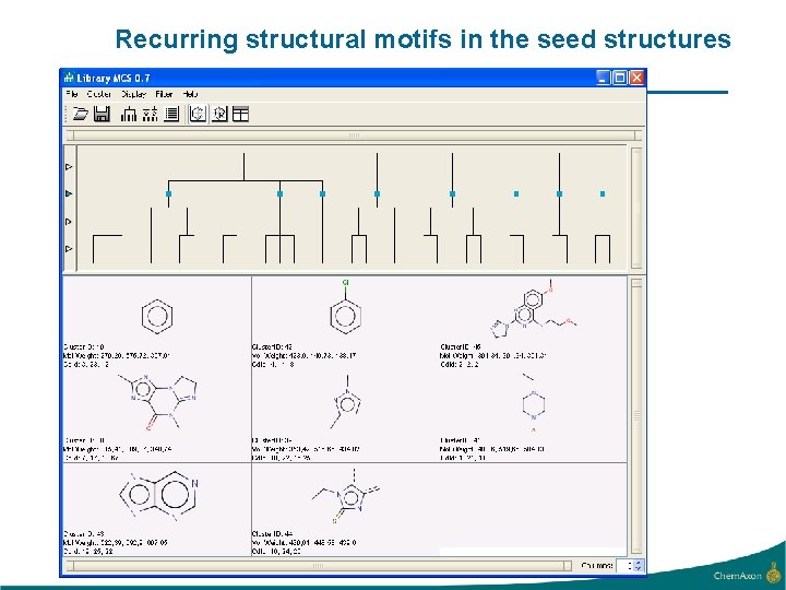 Recurring structural motifs in the seed structures 