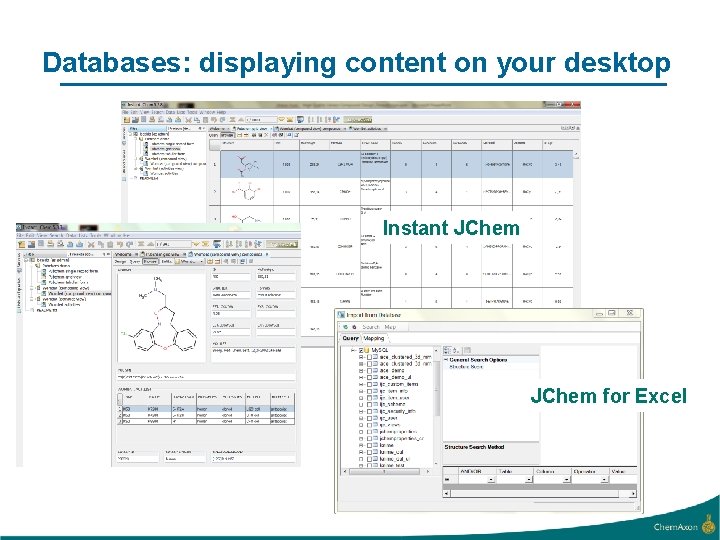 Databases: displaying content on your desktop Instant JChem for Excel 